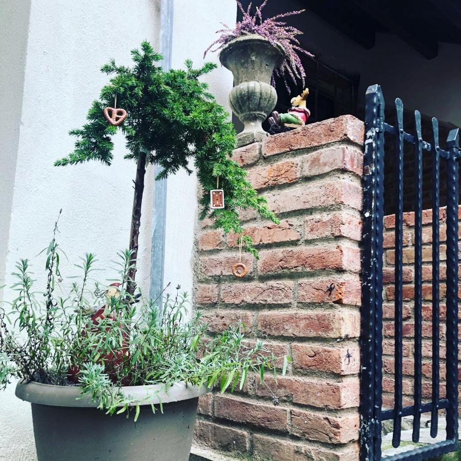 Apartmány Kováčska Košice Esterno foto